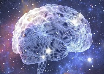 Science bee Science news