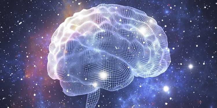 Science bee Science news