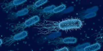 Science Bee Science News