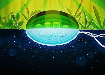 Science Bee Science News