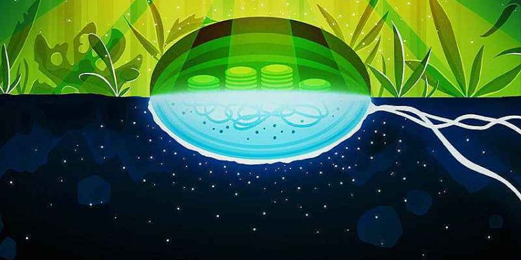 Science Bee Science News