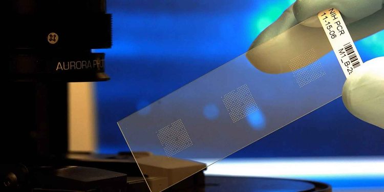 Science Bee Science News