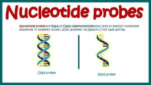 বায়োচীপ দ্বারা Science Bee Science News