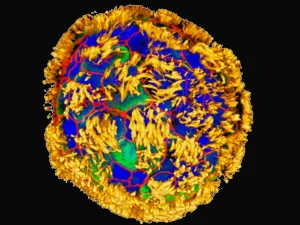 science bee science news অ্যানথ্রোবট

