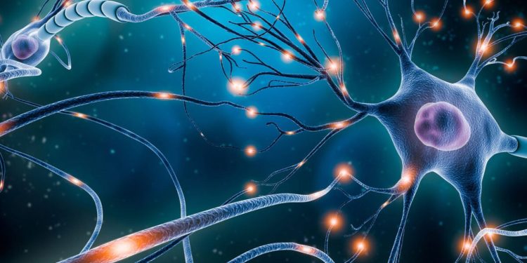 মস্তিস্কে স্মৃতি গঠনে ভূমিকা রাখে নির্দিষ্ট ধরনের ডিএনএ