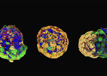 science bee science news অ্যানথ্রোবট