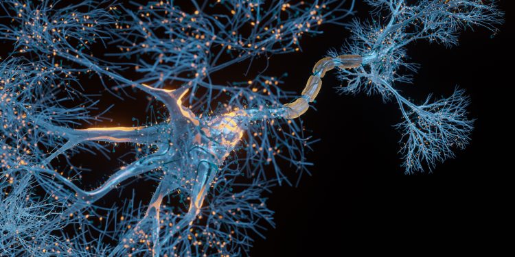 মেরুদন্ডে আঘাতের ফলে সৃষ্ট বিপাকীয় জটিলতার সমাধান গ্যাবাপেন্টিন