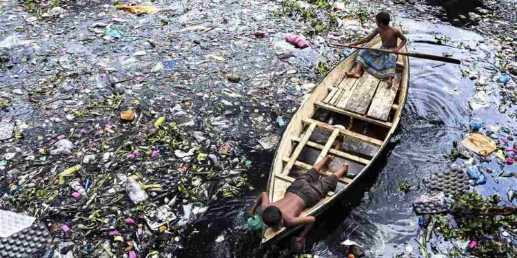 Science Bee Science News