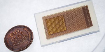 Science Bee Science News