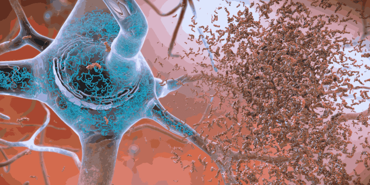 আলজেইমার এর জন্য দায়ী পেপটাইডই লিভারের জন্য উপকারি!