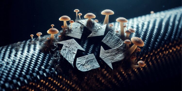 কার্বন science bee science news