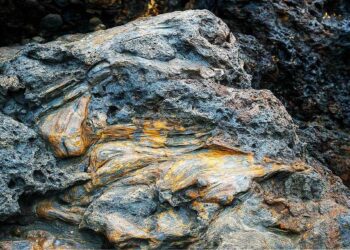 পাথর science bee science news