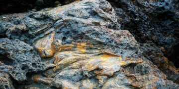 পাথর science bee science news