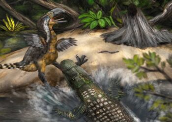 শিকার science bee science news