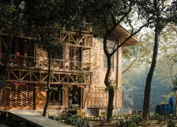 বাংলাদেশে science bee science news