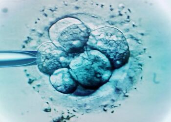 যুক্তরাজ্যে science bee science news